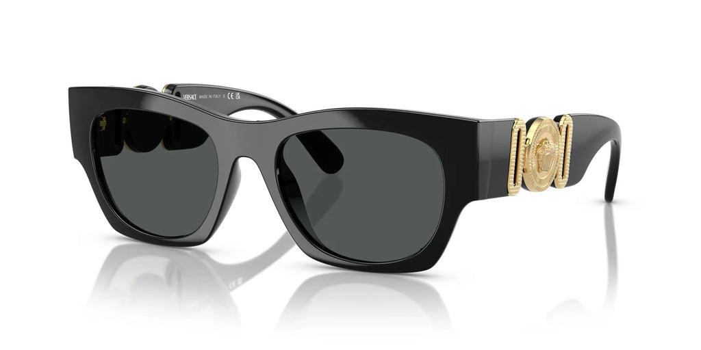 Versace 4479 Sunglass