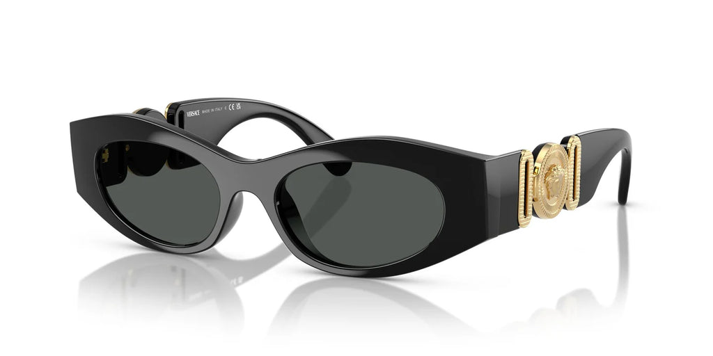 Versace 0VE 4480 Sunglass