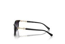 Load image into Gallery viewer, Emporio Armani 4238 Sunglass