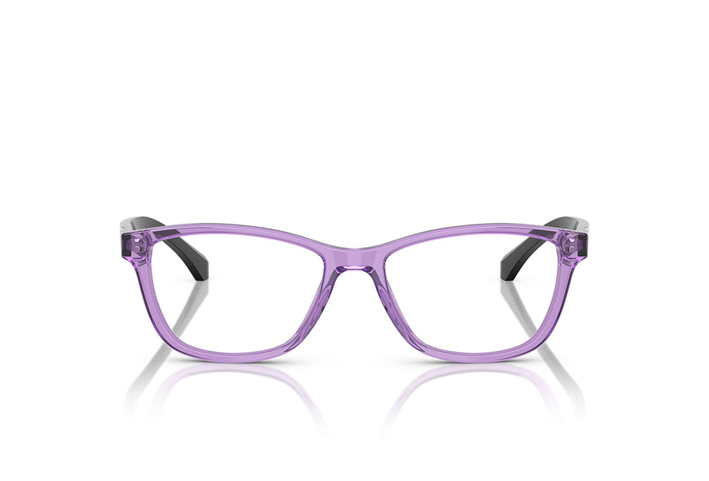 Emporio Armani 3099 Spectacle
