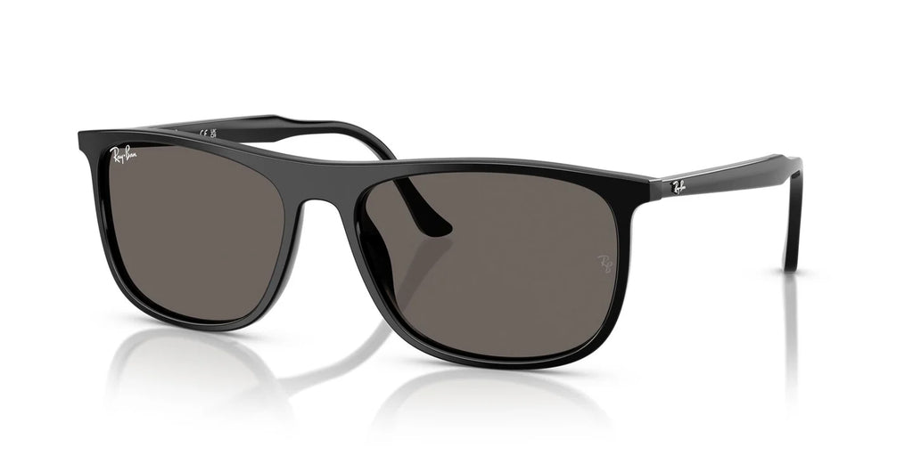 Ray-Ban 2216 Sunglass
