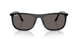 Ray-Ban 2216 Sunglass