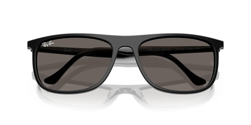 Ray-Ban 2216 Sunglass