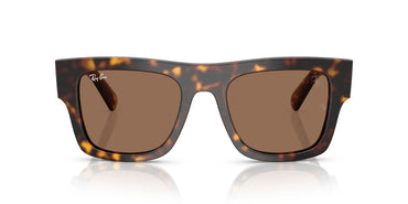 Ray-Ban 2217M Sunglass
