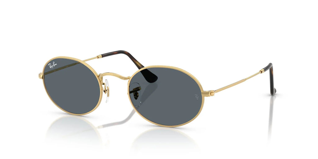 Ray-Ban 3547 N Sunglass