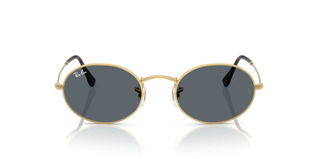Ray-Ban 3547 N Sunglass