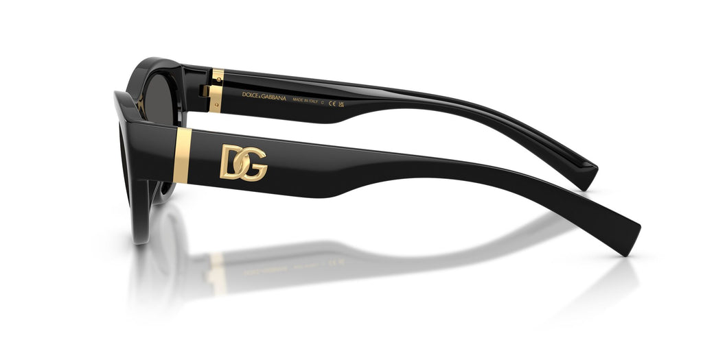 Dolce & Gabbana 6207 Sunglass
