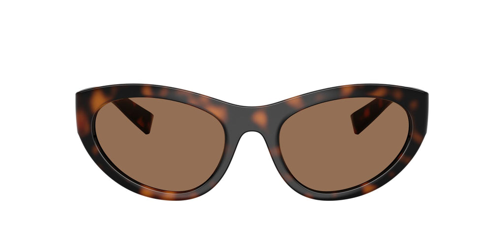 Dolce & Gabbana 6207 Sunglass