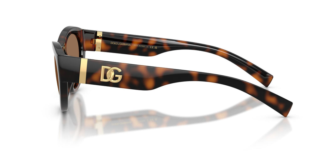 Dolce & Gabbana 6207 Sunglass