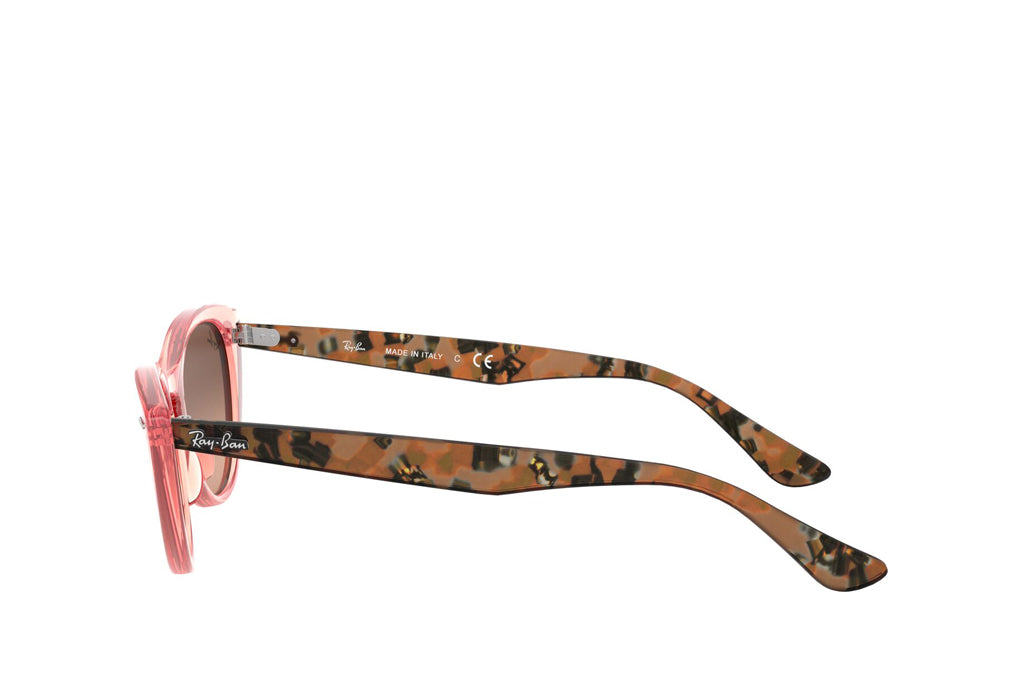 Ray-Ban 4314N Sunglass - Pink
