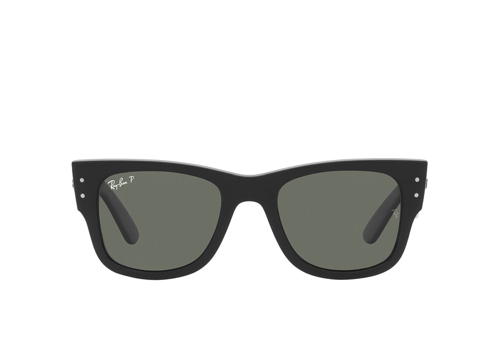 Ray-Ban 0840S Sunglass