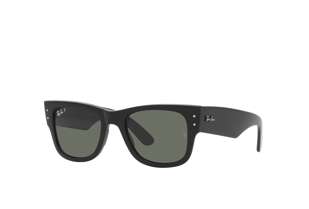 Ray-Ban 0840S Sunglass