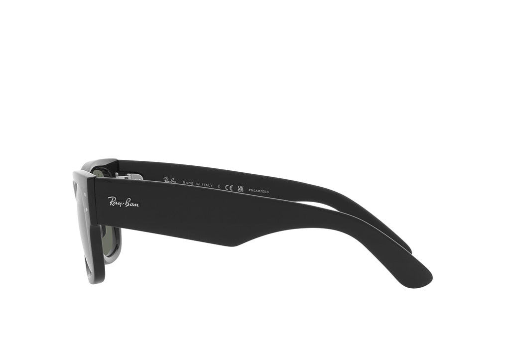 Ray-Ban 0840S Sunglass