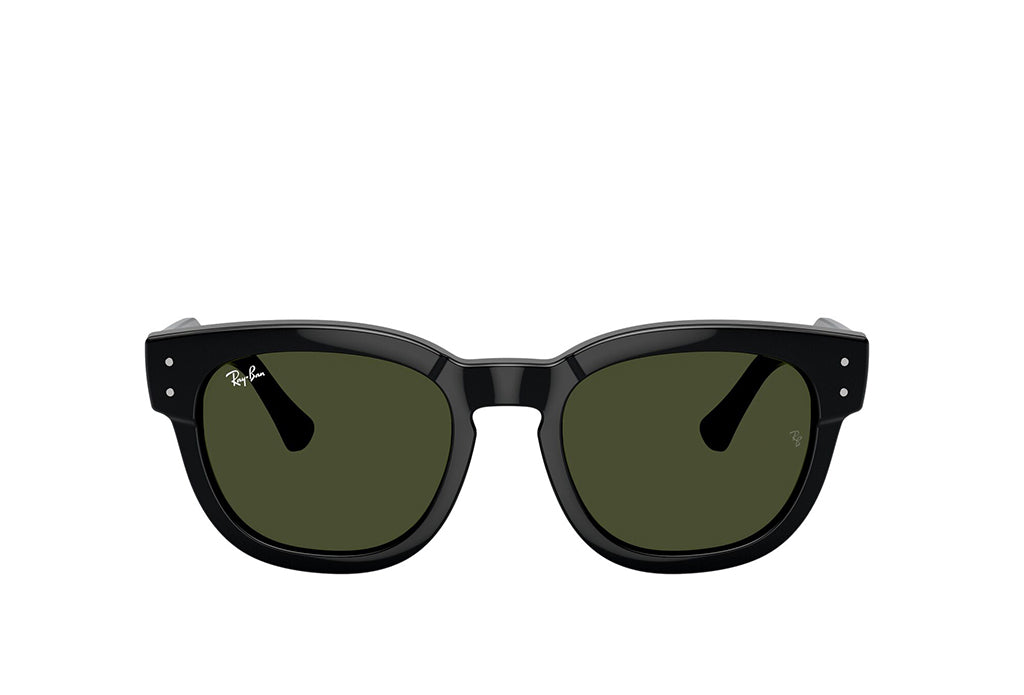 Ray-Ban 0298S Sunglass