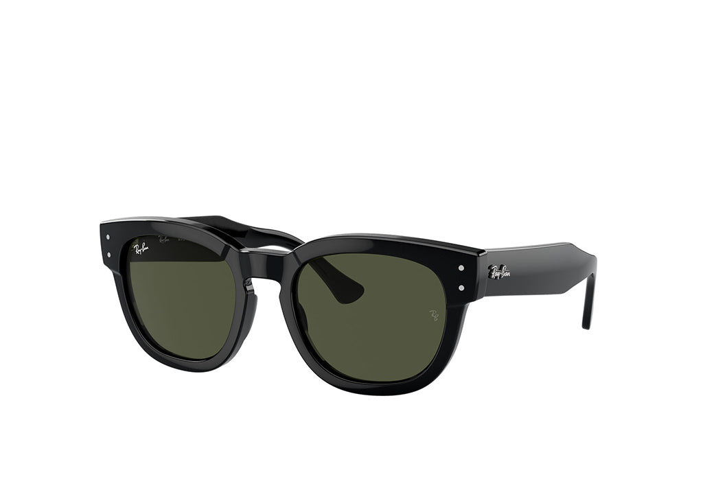 Ray-Ban 0298S Sunglass