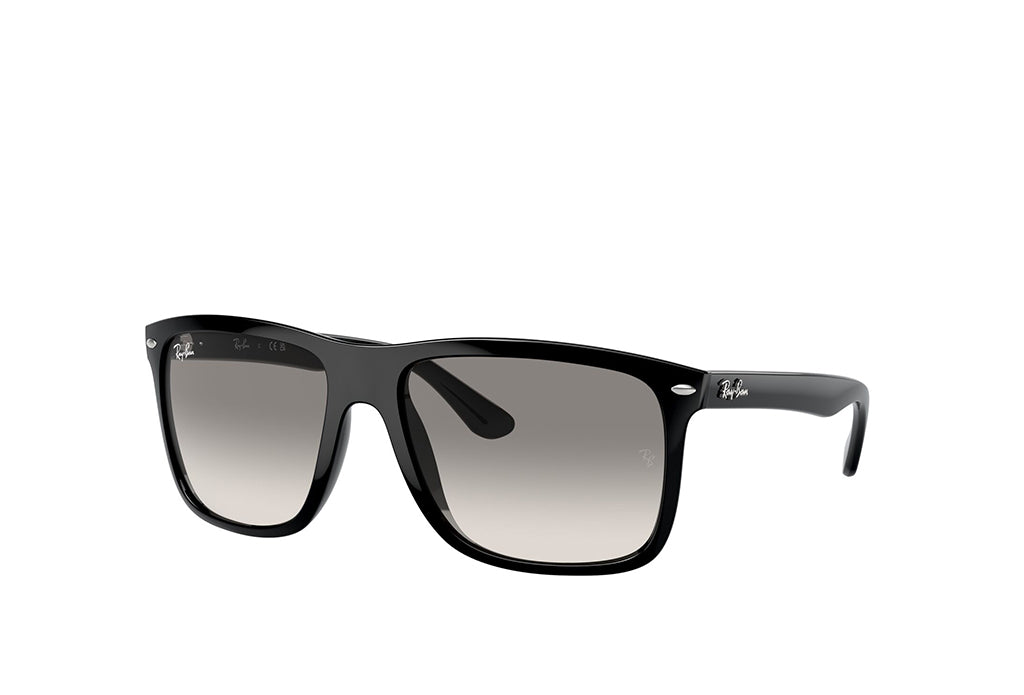 Ray-Ban 4547 Sunglass