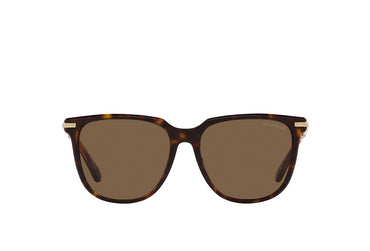 Swarovski 6015D Sunglass