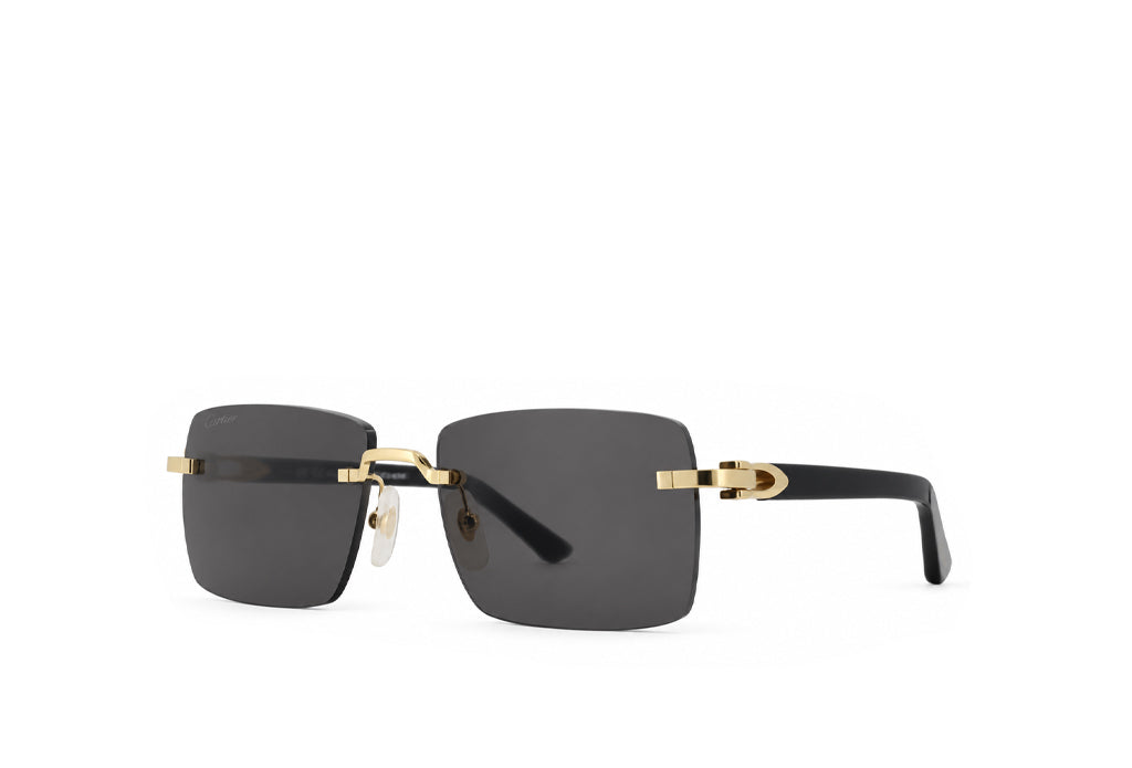Cartier 0579S Black Sunglass