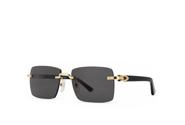 Cartier 0579S Black Sunglass
