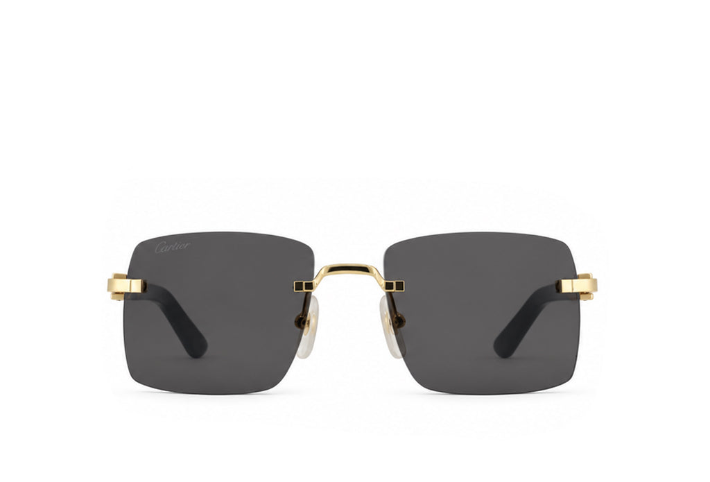 Cartier 0579S Black Sunglass