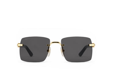Cartier 0579S Black Sunglass