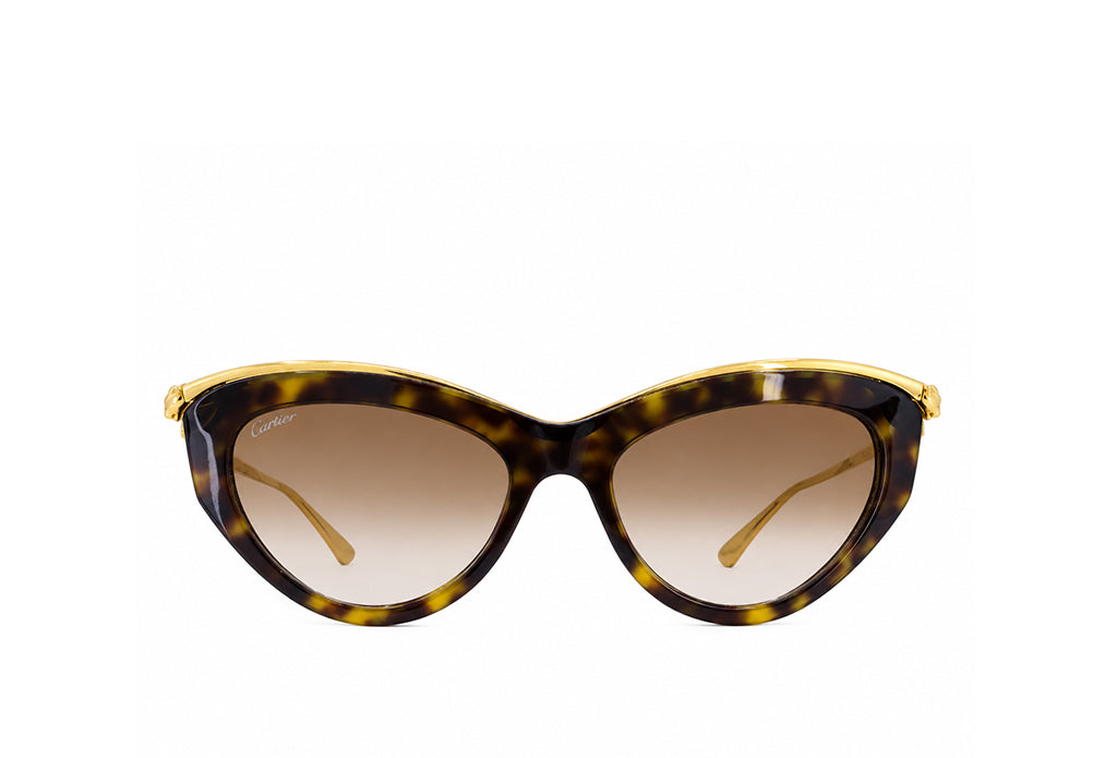 Cartier 0596S Havana Sunglass