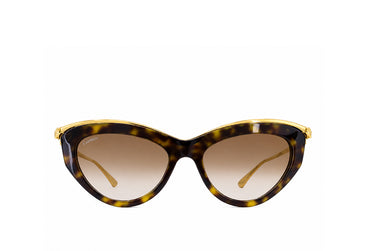 Cartier 0596S Havana Sunglass