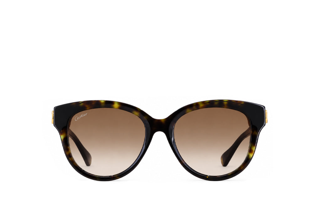 Cartier 0506S Havana Sunglass