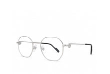 Load image into Gallery viewer, Cartier 0500O Silver Spectacle