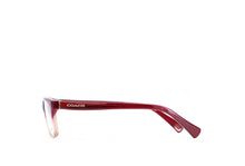 Load image into Gallery viewer, Coach 6089 Spectacle