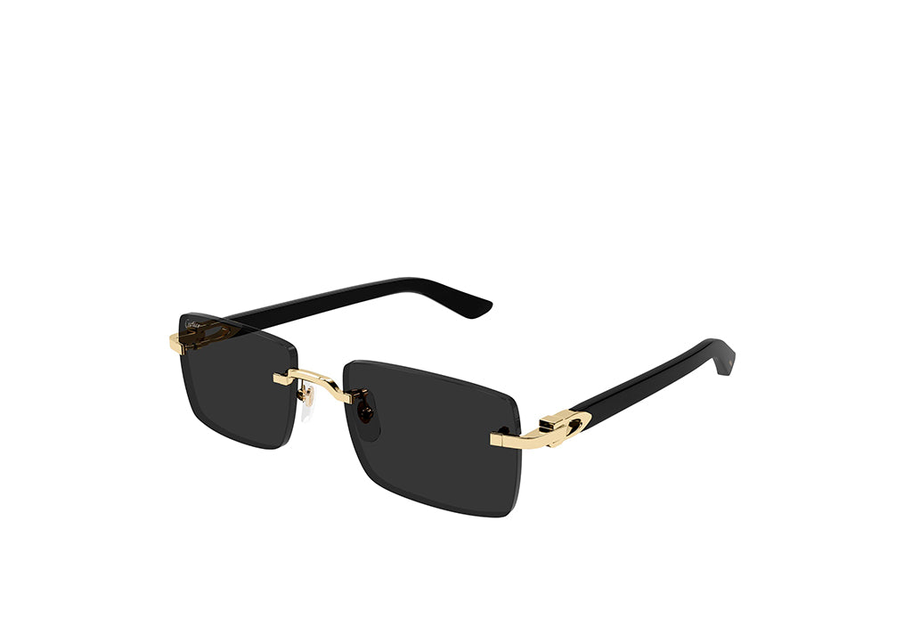 Cartier 0579S Sunglass