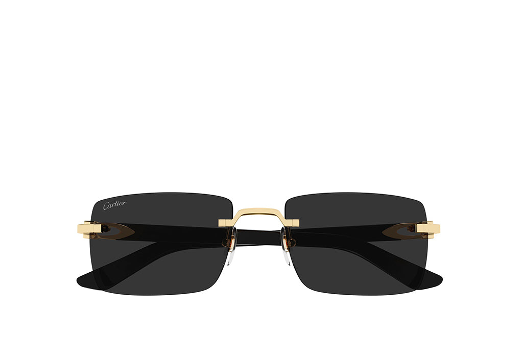 Cartier 0579S Sunglass