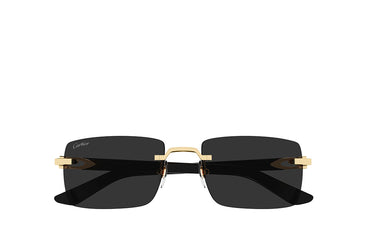 Cartier 0579S Sunglass