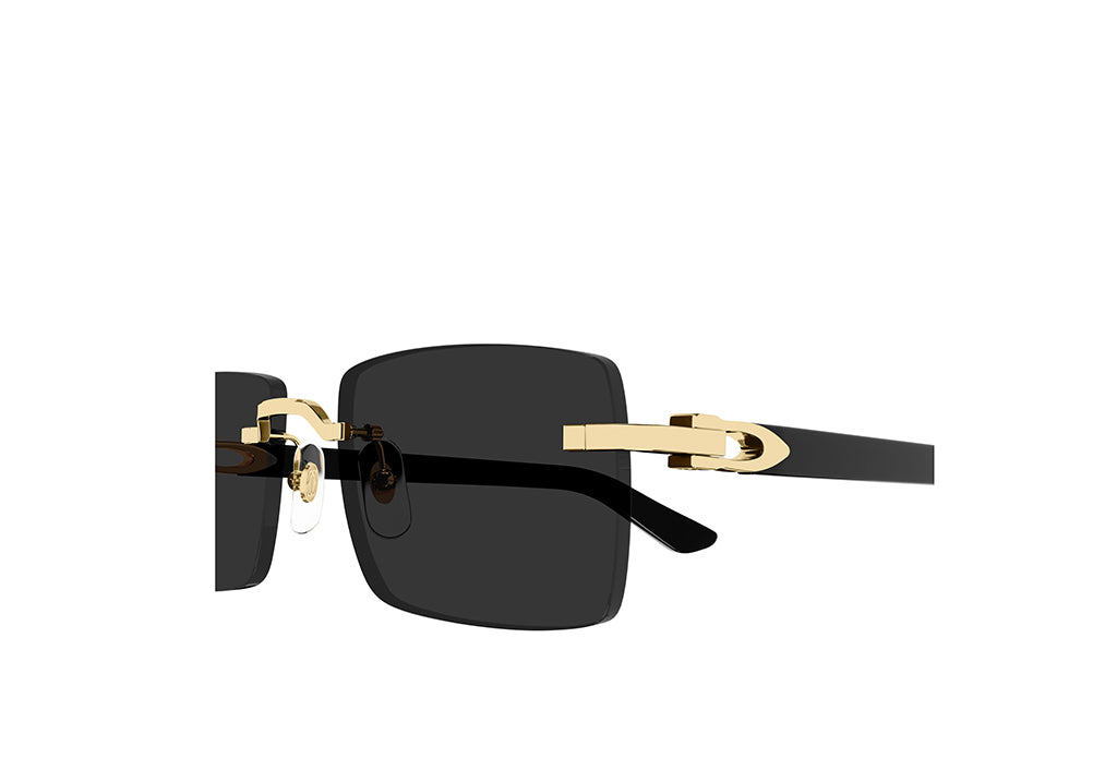 Cartier 0579S Sunglass