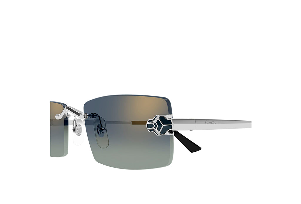 Cartier 0598S Sunglass