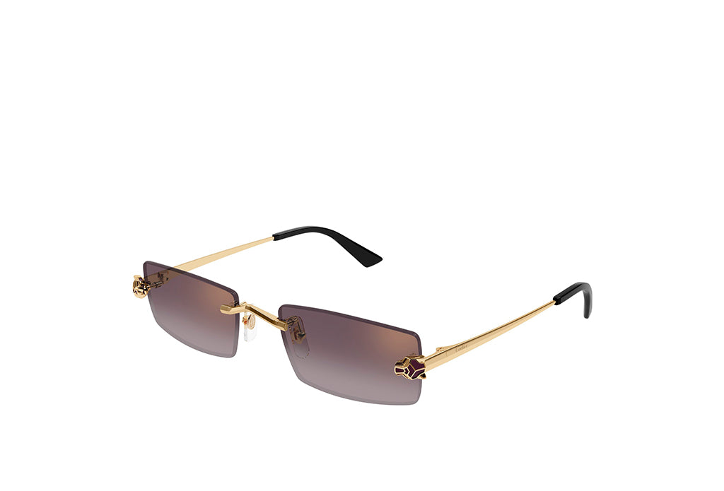 Cartier 0598S Sunglass