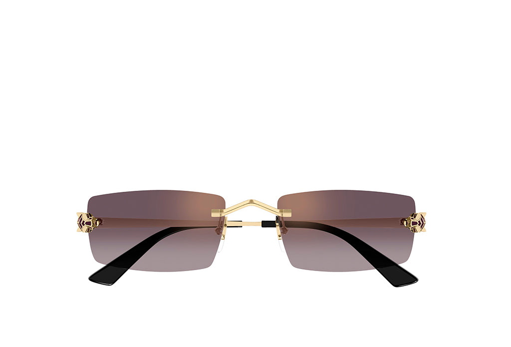 Cartier 0598S Sunglass