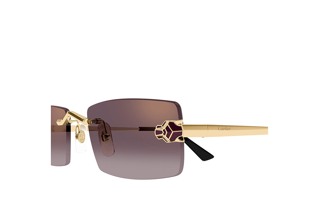 Cartier 0598S Sunglass