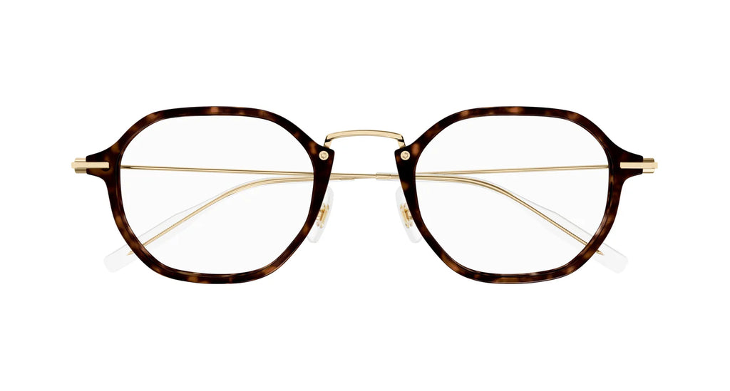 Mont Blanc 0296 Spectacle