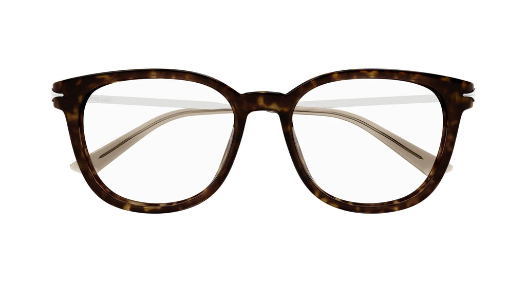 Mont Blanc 0309 Spectacle