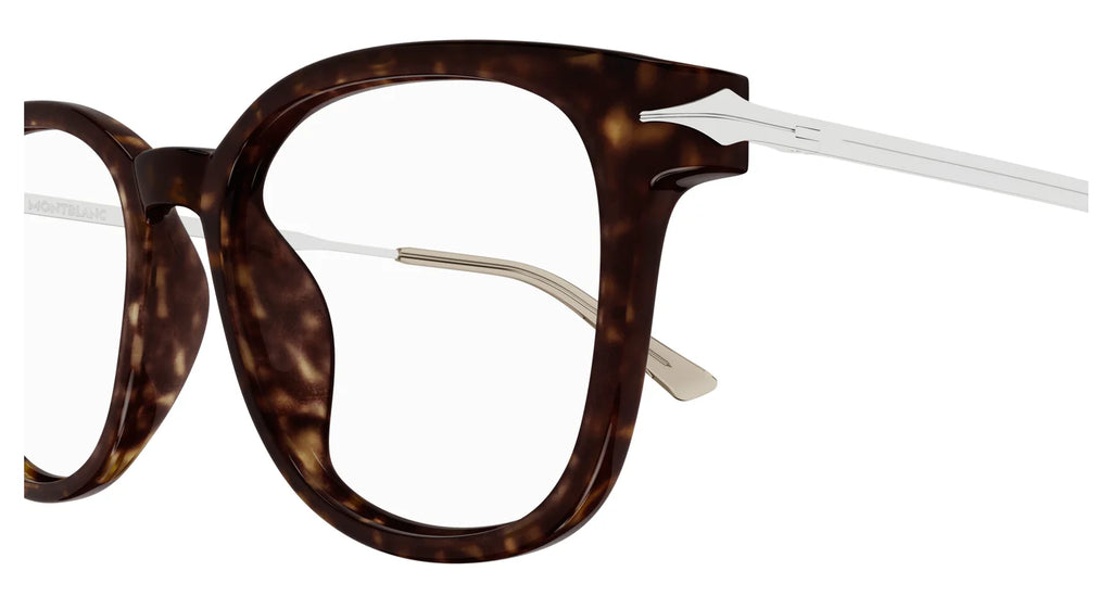 Mont Blanc 0309 Spectacle