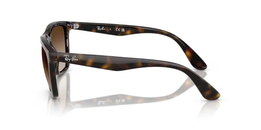 Ray-Ban 4442I Sunglass