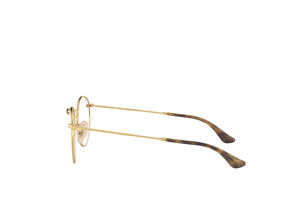 Ray-Ban 3447V Spectacle