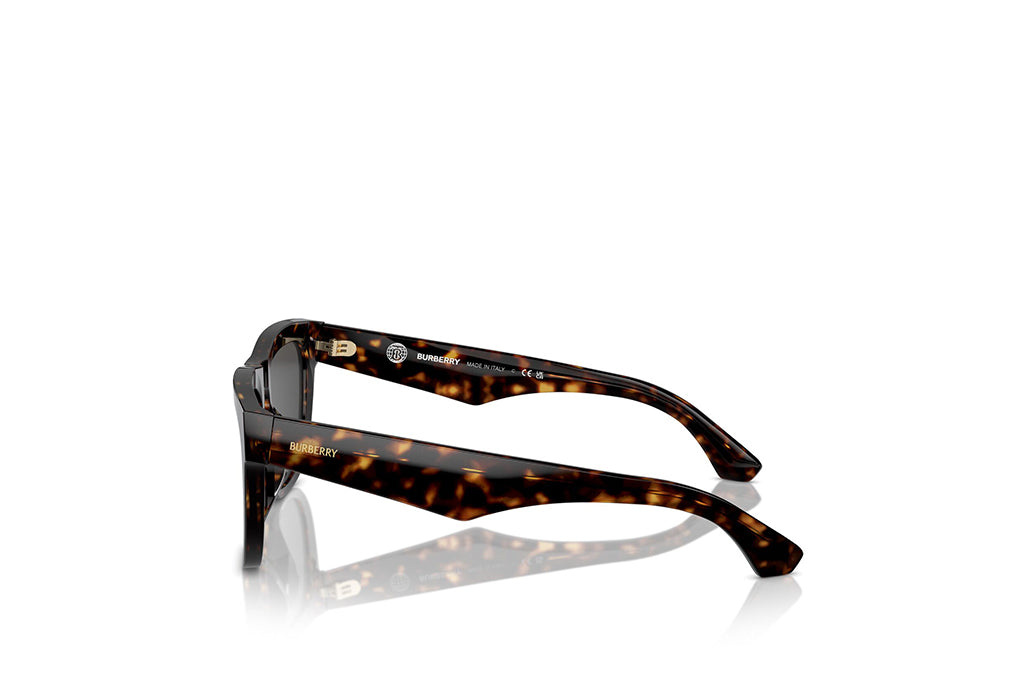 Burberry 4431U Sunglass