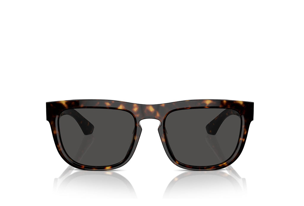 Burberry 4431U Sunglass