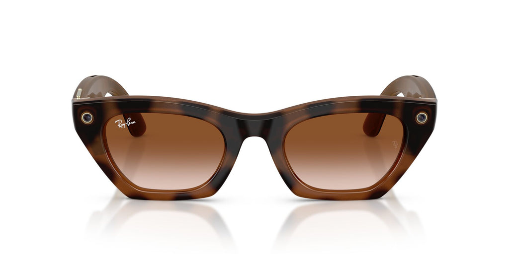Ray-Ban Meta Gen 3 Zena Polished Havana Gradient Brown | RW4015 690513 - image 4
