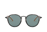 Ray-Ban 2447 Sunglass