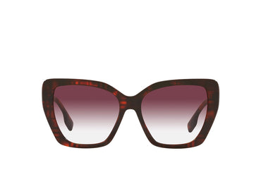 Burberry 4366 Sunglass