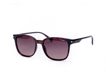 Idee 2753 Sunglass