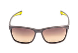 Phillipe Morelle 848 Sunglass